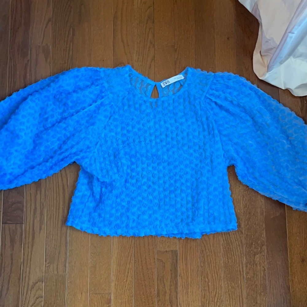 Zara Sheer Puff Top